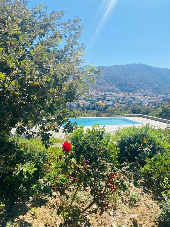 Harma Villas Andros Town Exterior photo